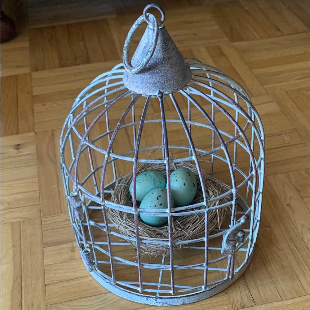 Decorative Metal Birdcage w/ Faux Nest and Eggs